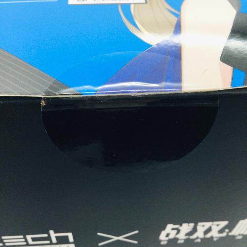 APEX(エーペックス) ARCTECHシリーズ ビアンカ・真理 1/8スケール可動フィギュア パニシング:グレイレイヴン