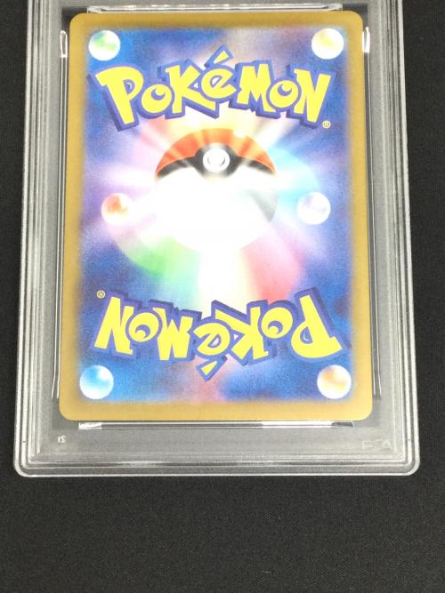 テラパゴスex ポケモンカード 130/102 SAR