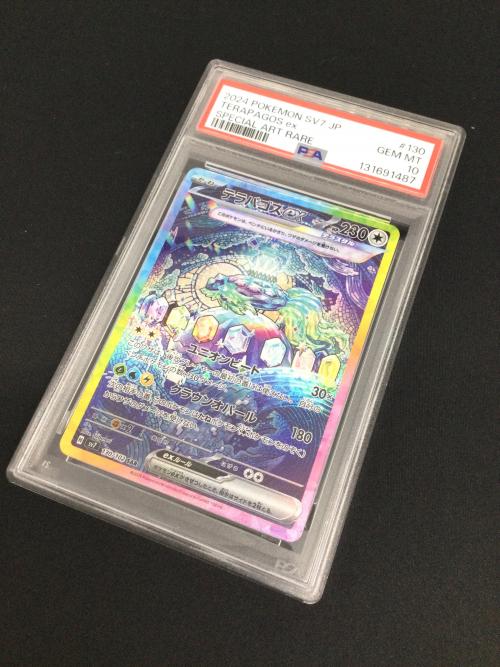 テラパゴスex ポケモンカード 130/102 SAR｜トレファクONLINE