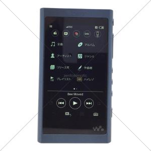 SONY (ソニー) イヤホン・ウォークマンセット WI-H700/NW-A55