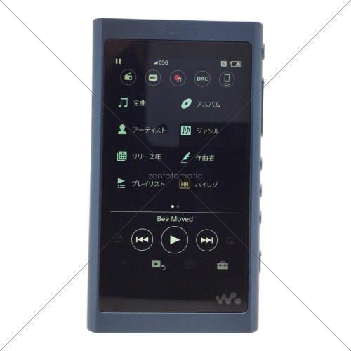 SONY (ソニー) イヤホン・ウォークマンセット WI-H700/NW-A55
