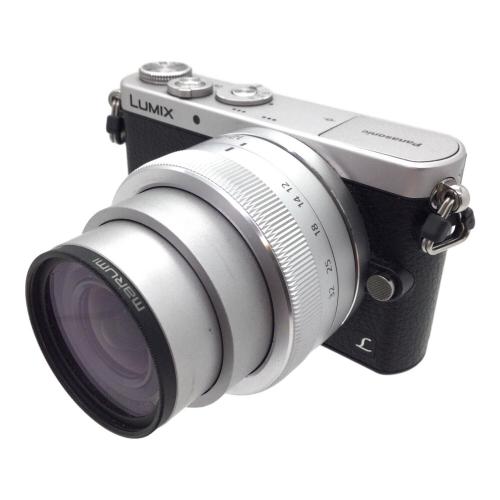 Panasonic (パナソニック) ミラーレス一眼カメラ  LUMIX DMC-GM1