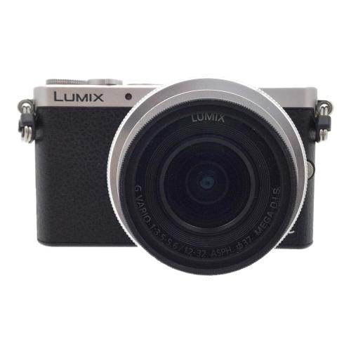 Panasonic (パナソニック) ミラーレス一眼カメラ  LUMIX DMC-GM1