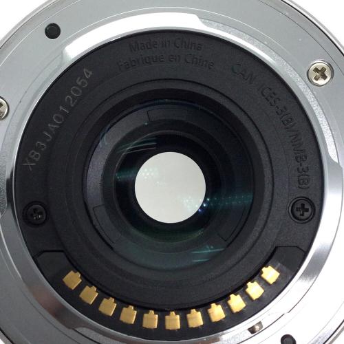 Panasonic (パナソニック) ミラーレス一眼カメラ  LUMIX DMC-GM1