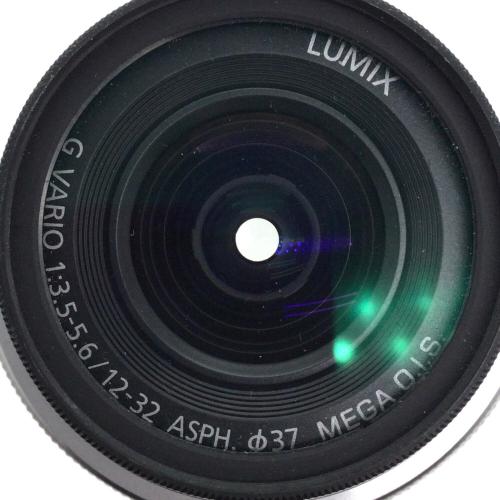 Panasonic (パナソニック) ミラーレス一眼カメラ  LUMIX DMC-GM1