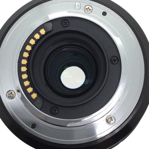 Panasonic (パナソニック) ミラーレス一眼カメラ  LUMIX DMC-GM1