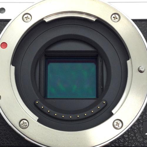 Panasonic (パナソニック) ミラーレス一眼カメラ  LUMIX DMC-GM1