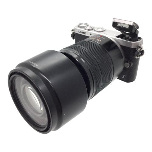 Panasonic (パナソニック) ミラーレス一眼カメラ  LUMIX DMC-GM1