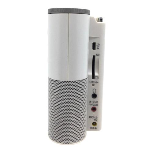 SONY (ソニー) ポータブルラジオレコーダー ICZ-R260TV