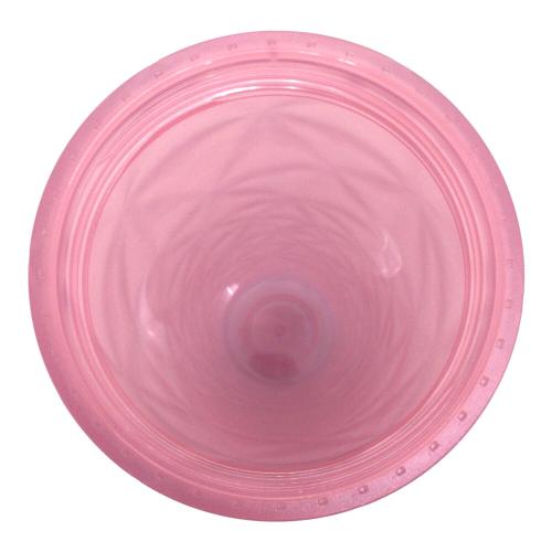 STARBUCKS COFFEE(スターバックス コーヒー) SAKURA2026 カラーチェンジングコールドカップ 710ml