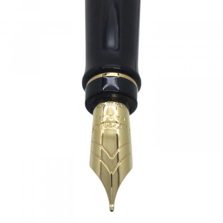 WATERMAN (ウォーターマン) PRCO 50TH 万年筆・ボールペンセット