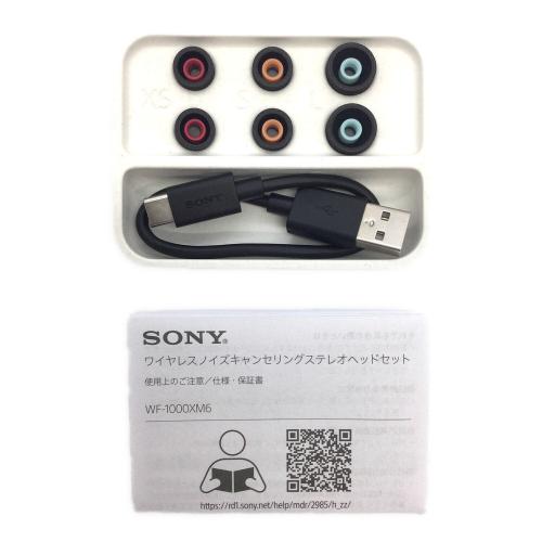 SONY (ソニー) ワイヤレスイヤホン WF-1000XM6