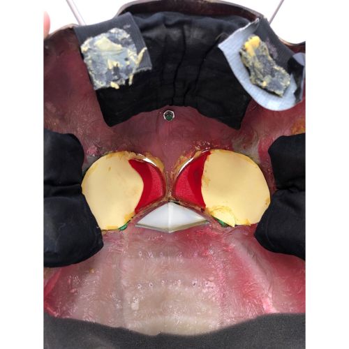 仮面ライダーZX 1/1レプリカマスク ■状態難有・現状販売品