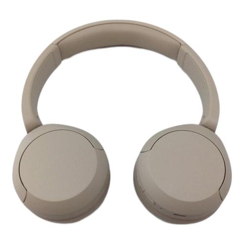 SONY (ソニー) ヘッドホン WH-CH520