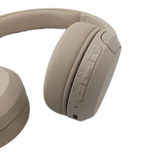 SONY (ソニー) ヘッドホン WH-CH520