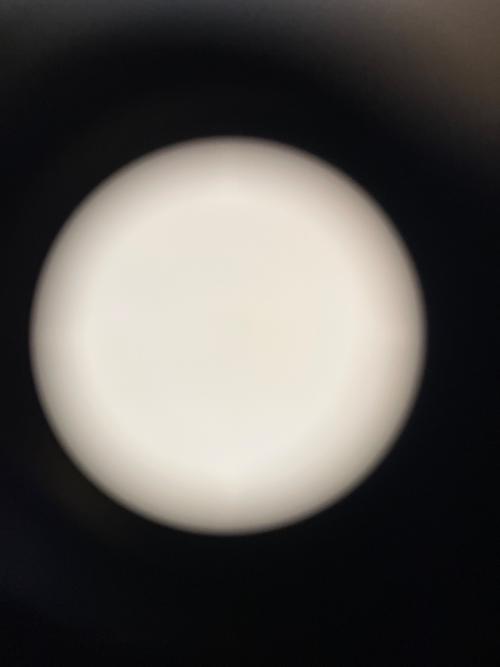 OLYMPUS (オリンパス) ミラーレス一眼カメラ OM-D E-M10Ⅱ