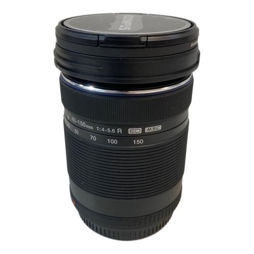 OLYMPUS (オリンパス) ミラーレス一眼カメラ OM-D E-M10Ⅱ