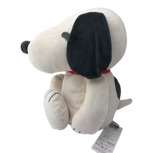 PEANUTS (ピーナッツ) スヌーピーグッズ MIZUNO メディシンボール