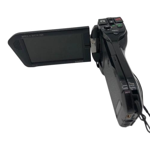 SANYO (サンヨー) デジタルビデオカメラ DMX-CG10