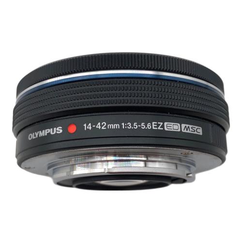 OLYMPUS (オリンパス) ミラーレス一眼カメラ OM-D E-M10