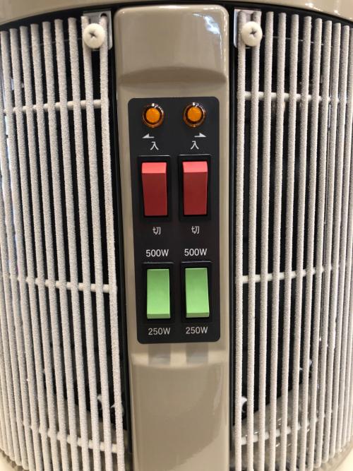 RCS (アールシーエス) 遠赤外線パネルヒーター DAN1000-R16 2020年製