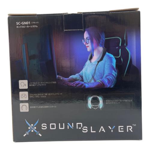 Panasonic (パナソニック) ネックスピーカー SC-GN01