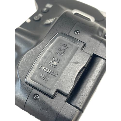 Nikon (ニコン) デジタル一眼レフカメラ D5100 ボディ