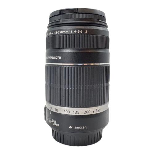 CANON (キヤノン) ズームレンズ EF-S55-250mm f/4-5.6 IS