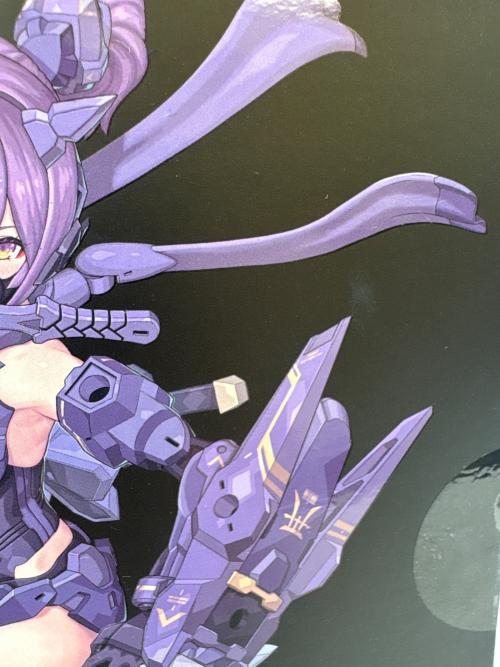 KOTOBUKIYA (コトブキヤ) メガミデバイス プラモデル アニメキャラクター 朱羅 忍者 枢 影衣 フルパッケー ASRA NINJYA KANAME SHADOW EDITION