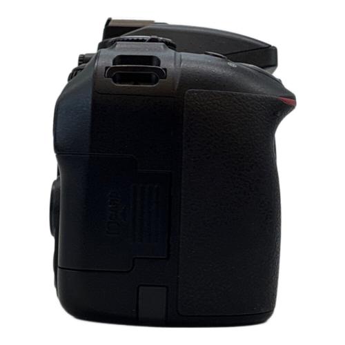 Nikon (ニコン) デジタル一眼レフカメラ D5300