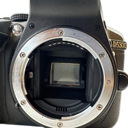 Nikon (ニコン) デジタル一眼レフカメラ D5300