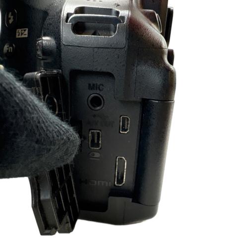 Nikon (ニコン) デジタル一眼レフカメラ D5300