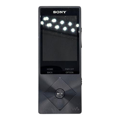 SONY (ソニー) WALKMAN NW-A25 16㎇