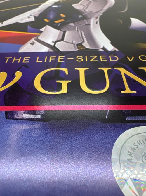 BANDAI (バンダイ) 超合金 RX-93ff νガンダム 「機動戦士ガンダム 逆襲のシャア」GUNDAM SIDE F フィギュア