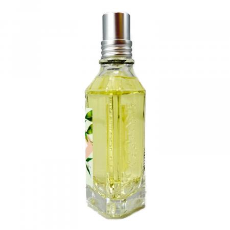 L'OCCITANE (ロクシタン) オードトワレ 100ml 残量80%-99% THE VERT