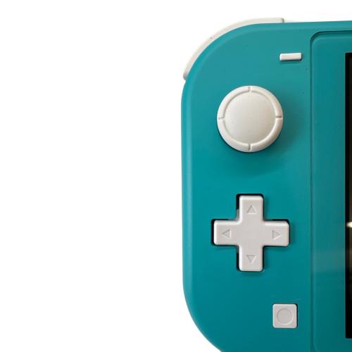 Nintendo (ニンテンドー) Nintendo Switch Lite HDH-001