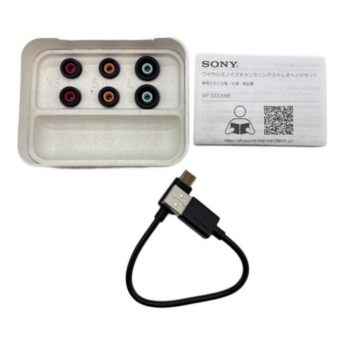 SONY (ソニー) イヤホン 1000X YY2985