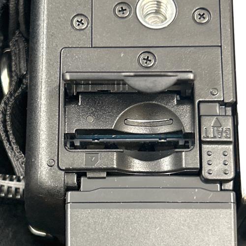 SONY (ソニー) デジタルビデオカメラ HDR-PJ590V
