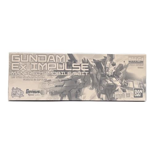 BANDAI (バンダイ) MG 1/100 ガンダムエクスインパルス ガンプラ