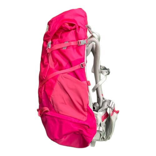 THE NORTH FACE (ザ ノース フェイス) バックパック NMW61509 42L ピンク テルス 42