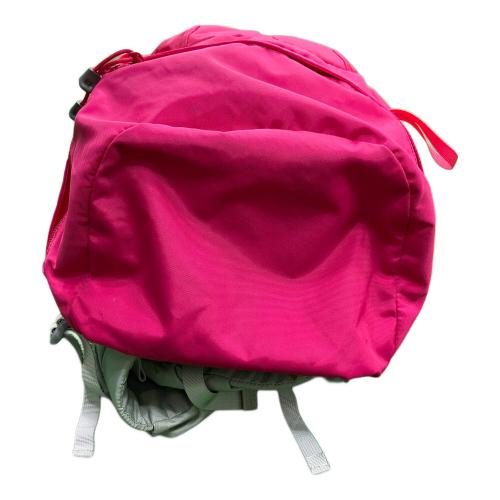 THE NORTH FACE (ザ ノース フェイス) バックパック NMW61509 42L ピンク テルス 42