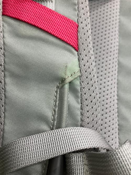 THE NORTH FACE (ザ ノース フェイス) バックパック NMW61509 42L ピンク テルス 42