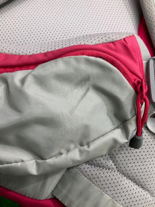 THE NORTH FACE (ザ ノース フェイス) バックパック NMW61509 42L ピンク テルス 42