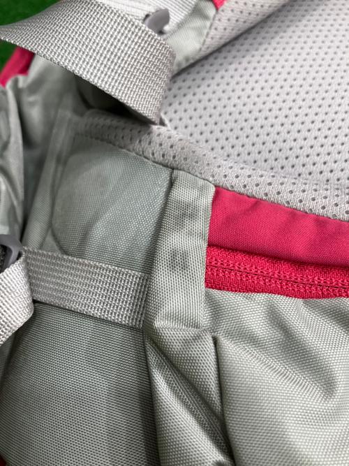 THE NORTH FACE (ザ ノース フェイス) バックパック NMW61509 42L ピンク テルス 42