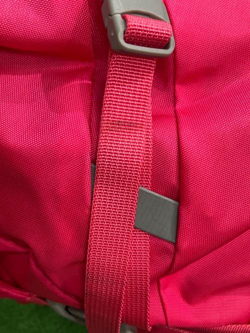 THE NORTH FACE (ザ ノース フェイス) バックパック NMW61509 42L ピンク テルス 42