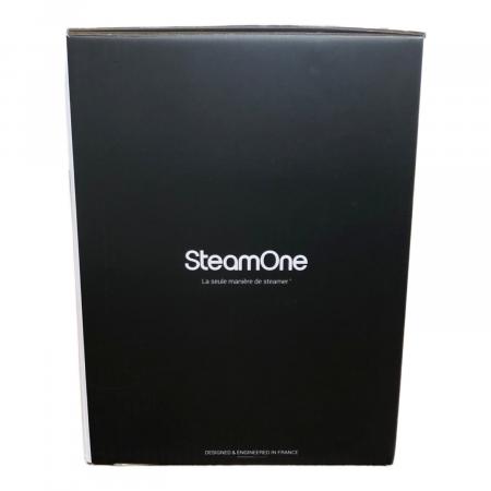 SteamOne (スチームワン) 衣類スチーマー 未使用 George JPES700B