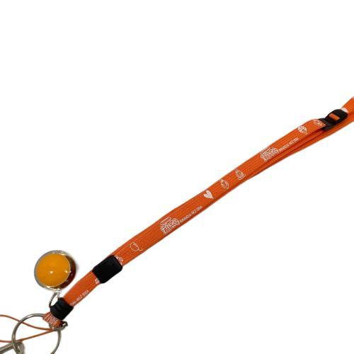 BANDAI (バンダイ) たまごっち 祝ケータイかいツー! たまごっちプラス 赤いシリーズ (パイレーツぶらっく)