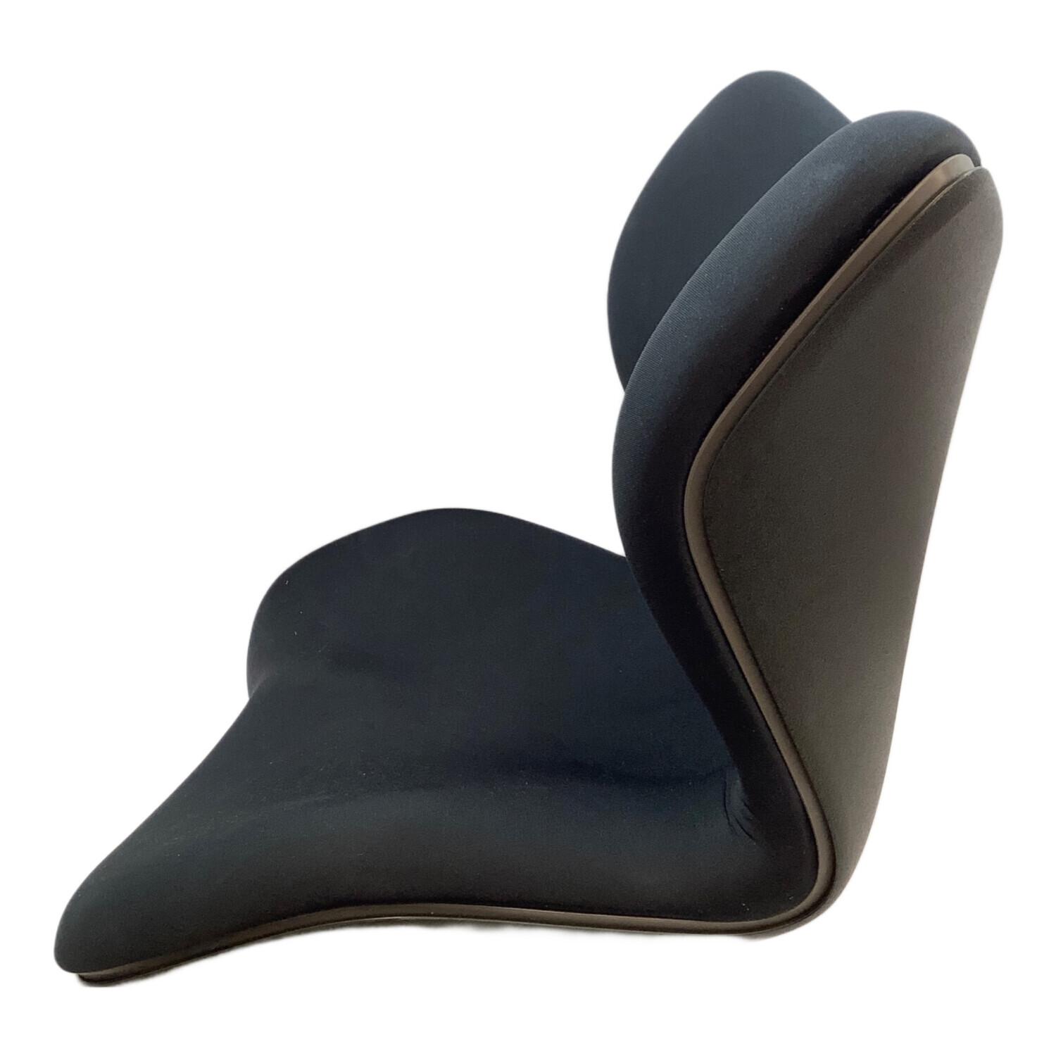 Style 骨盤矯正チェア　ブラック STYLE (スタイル) 骨盤矯正チェア ブラック スタイルプレミアム