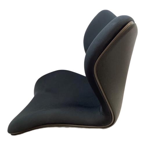 STYLE (スタイル) 骨盤矯正チェア ブラック スタイルプレミアム