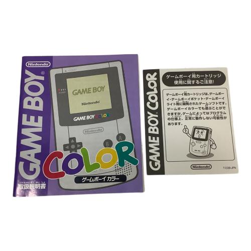 Nintendo (ニンテンドー) GAMEBOY COLOR CGB-001 060566083